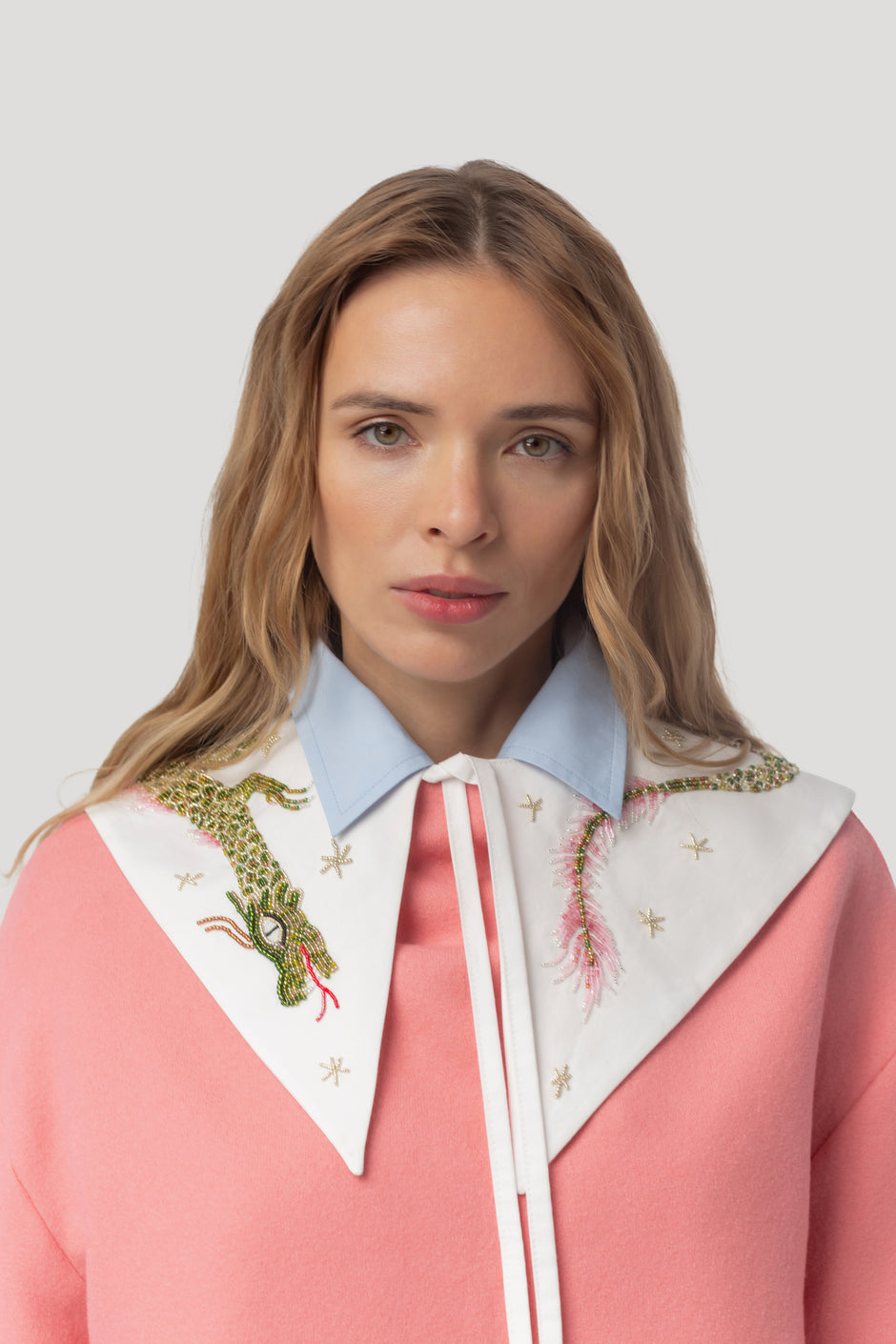 Нашийник дракона