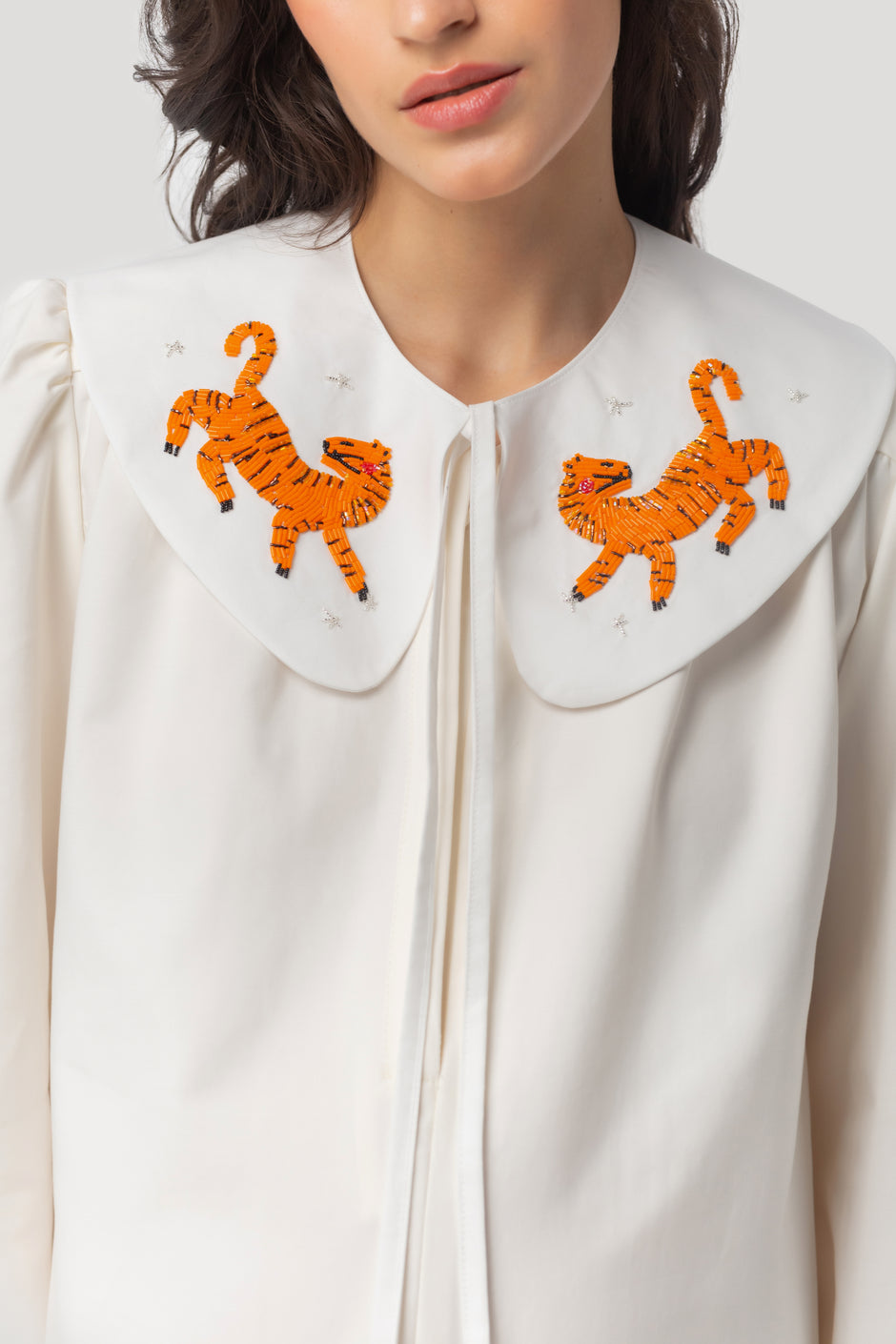 Тигровий нашийник 