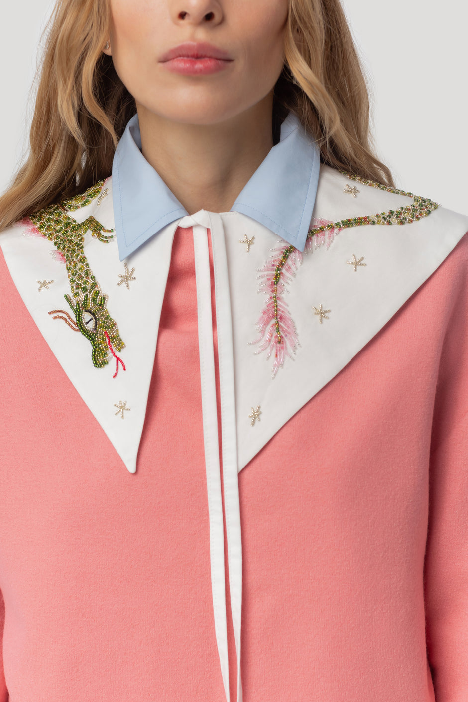 Нашийник дракона