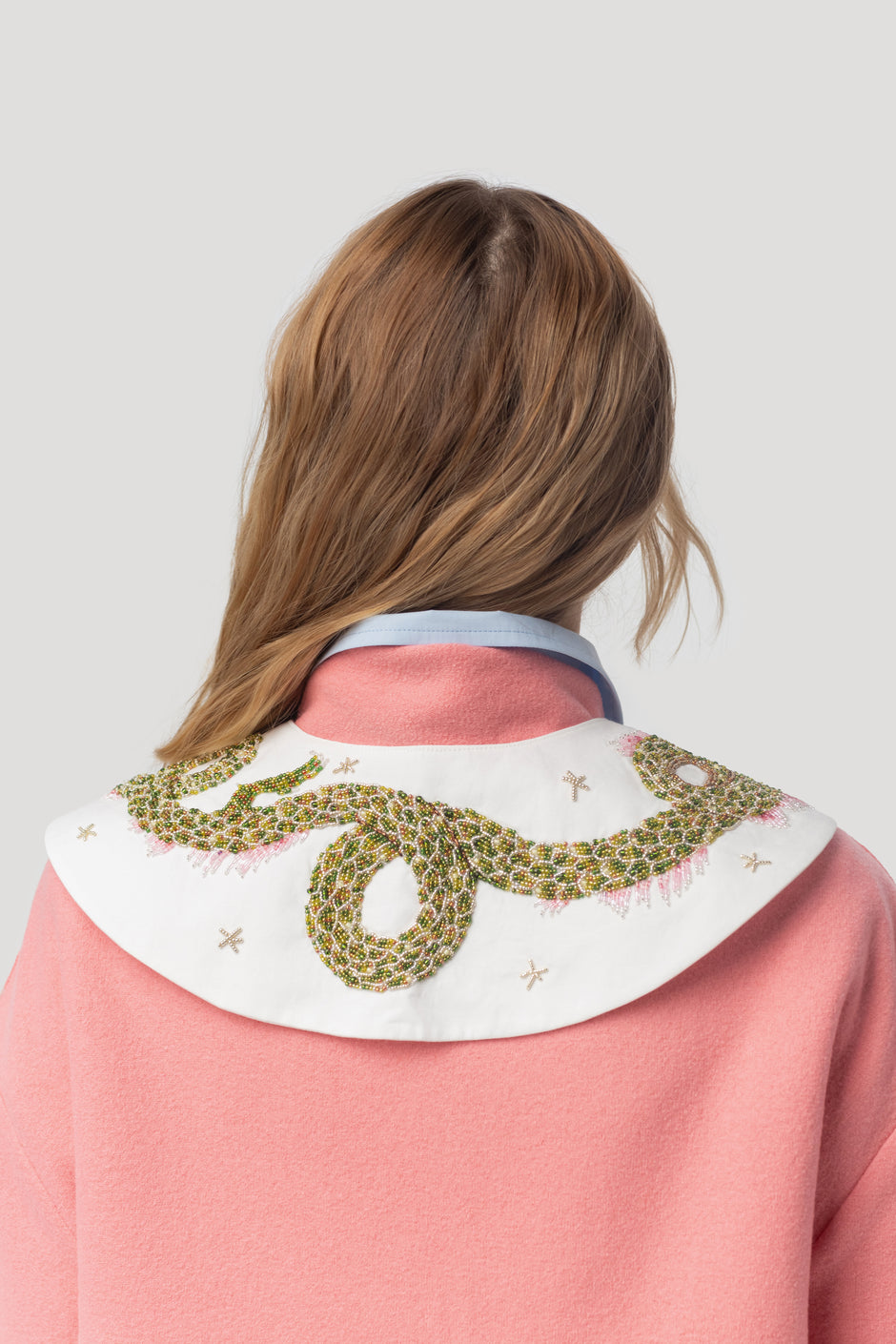 Нашийник дракона