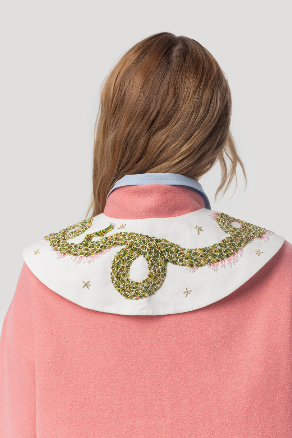 Нашийник дракона