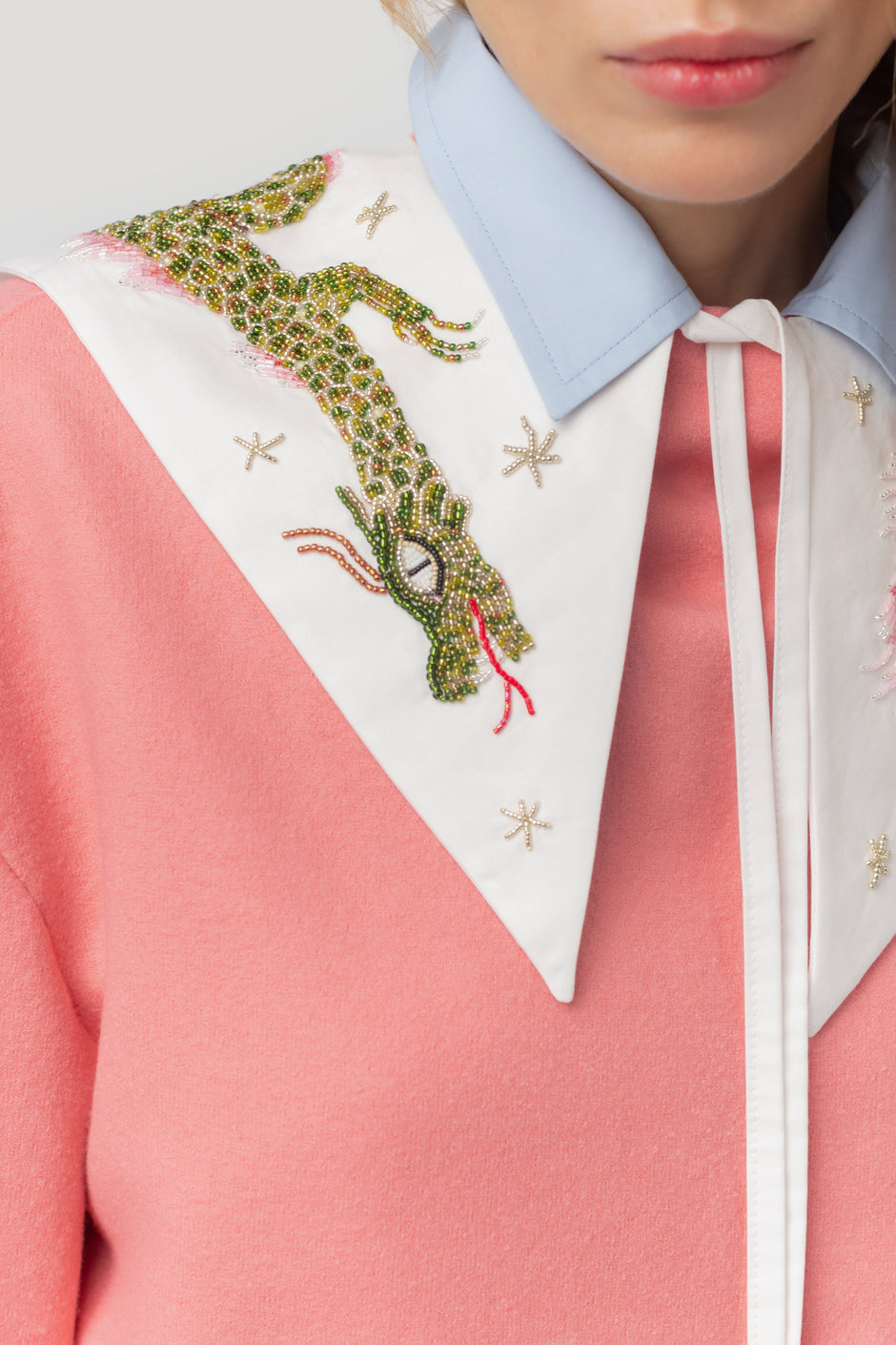 Нашийник дракона